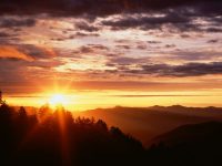 Pic (58)